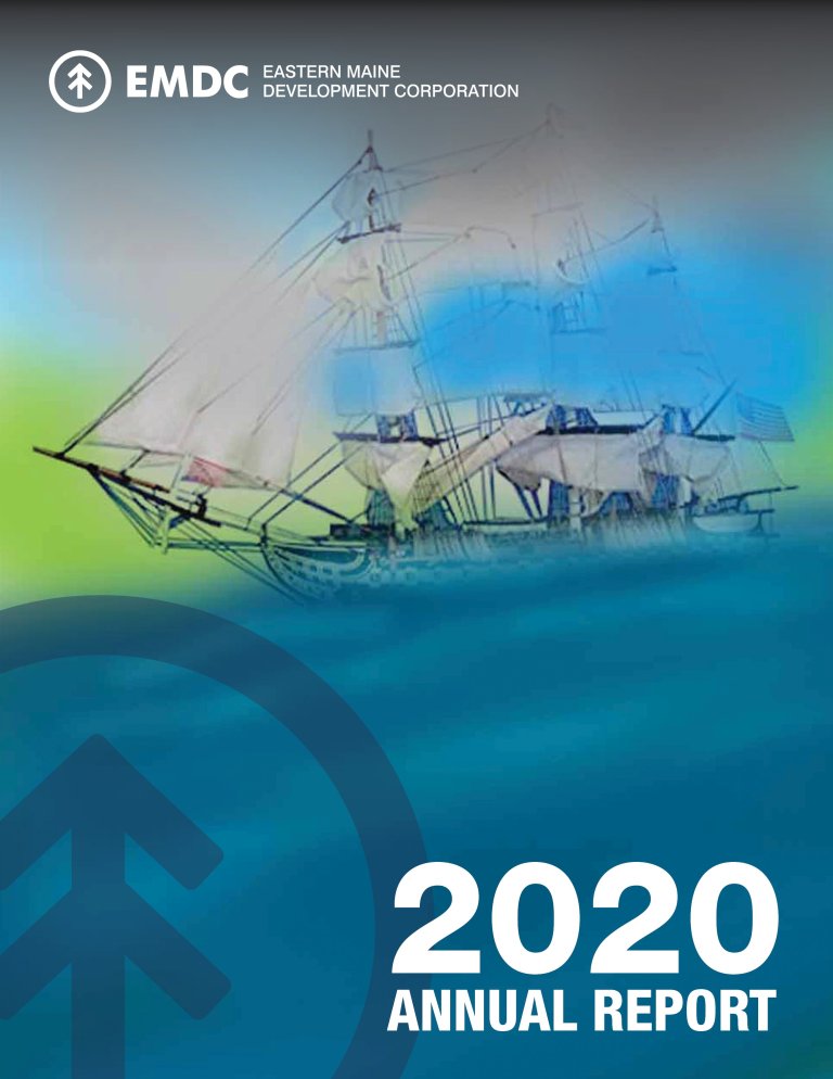 Annual Report 2020